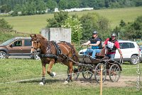 011D303 - MARATHON -ATTELAGE LOUVRES - MARATHON - 28052017-ATE 2151 : 2017, 28 mAI 2017, Concours ATTELAGE 2017, D303, MARATHON, Obstacle 3