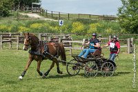 012D303 - MARATHON -ATTELAGE LOUVRES - MARATHON - 28052017-ATE 2152 : 2017, 28 mAI 2017, Concours ATTELAGE 2017, D303, MARATHON, Obstacle 3