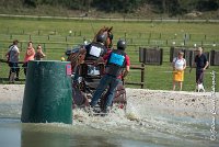 014D303 - MARATHON -ATTELAGE LOUVRES - MARATHON - 28052017-ATE 2157 : 2017, 28 mAI 2017, Concours ATTELAGE 2017, D303, MARATHON, Obstacle 3