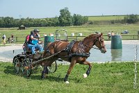 019D303 - MARATHON -ATTELAGE LOUVRES - MARATHON - 28052017-ATE 2162 : 2017, 28 mAI 2017, Concours ATTELAGE 2017, D303, MARATHON, Obstacle 3