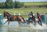 021D303 - MARATHON -ATTELAGE LOUVRES - MARATHON - 28052017-ATE 2165 : 2017, 28 mAI 2017, Concours ATTELAGE 2017, D303, MARATHON, Obstacle 3