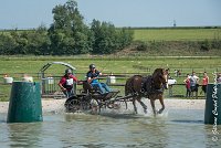 024D303 - MARATHON -ATTELAGE LOUVRES - MARATHON - 28052017-ATE 2168 : 2017, 28 mAI 2017, Concours ATTELAGE 2017, D303, MARATHON, Obstacle 3