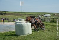 027D303 - MARATHON -ATTELAGE LOUVRES - MARATHON - 28052017-ATE 2171 : 2017, 28 mAI 2017, Concours ATTELAGE 2017, D303, MARATHON, Obstacle 3