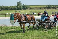 028D303 - MARATHON -ATTELAGE LOUVRES - MARATHON - 28052017-ATE 2172 : 2017, 28 mAI 2017, Concours ATTELAGE 2017, D303, MARATHON, Obstacle 3