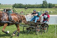 029D303 - MARATHON -ATTELAGE LOUVRES - MARATHON - 28052017-ATE 2173 : 2017, 28 mAI 2017, Concours ATTELAGE 2017, D303, MARATHON, Obstacle 3