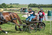 030D303 - MARATHON -ATTELAGE LOUVRES - MARATHON - 28052017-ATE 2174 : 2017, 28 mAI 2017, Concours ATTELAGE 2017, D303, MARATHON, Obstacle 3