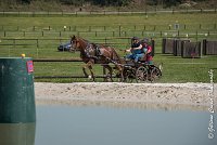 031D303 - MARATHON -ATTELAGE LOUVRES - MARATHON - 28052017-ATE 2185 : 2017, 28 mAI 2017, Concours ATTELAGE 2017, D303, MARATHON, Obstacle 4