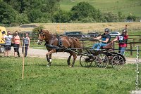 032D303 - MARATHON -ATTELAGE LOUVRES - MARATHON - 28052017-ATE 2186 : 2017, 28 mAI 2017, Concours ATTELAGE 2017, D303, MARATHON, Obstacle 4