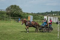 033D303 - MARATHON -ATTELAGE LOUVRES - MARATHON - 28052017-ATE 2187 : 2017, 28 mAI 2017, Concours ATTELAGE 2017, D303, MARATHON, Obstacle 4