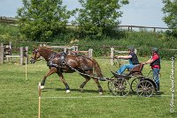 034D303 - MARATHON -ATTELAGE LOUVRES - MARATHON - 28052017-ATE 2188 : 2017, 28 mAI 2017, Concours ATTELAGE 2017, D303, MARATHON, Obstacle 4