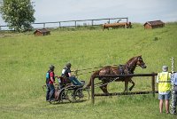 035D303 - MARATHON -ATTELAGE LOUVRES - MARATHON - 28052017-ATE 2189 : 2017, 28 mAI 2017, Concours ATTELAGE 2017, D303, MARATHON, Obstacle 4