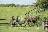 036D303 - MARATHON -ATTELAGE LOUVRES - MARATHON - 28052017-ATE 2190 : 2017, 28 mAI 2017, Concours ATTELAGE 2017, D303, MARATHON, Obstacle 4