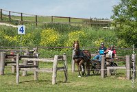 038D303 - MARATHON -ATTELAGE LOUVRES - MARATHON - 28052017-ATE 2192 : 2017, 28 mAI 2017, Concours ATTELAGE 2017, D303, MARATHON, Obstacle 4