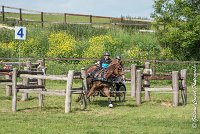 039D303 - MARATHON -ATTELAGE LOUVRES - MARATHON - 28052017-ATE 2193 : 2017, 28 mAI 2017, Concours ATTELAGE 2017, D303, MARATHON, Obstacle 4