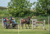 040D303 - MARATHON -ATTELAGE LOUVRES - MARATHON - 28052017-ATE 2194 : 2017, 28 mAI 2017, Concours ATTELAGE 2017, D303, MARATHON, Obstacle 4