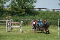 041D303 - MARATHON -ATTELAGE LOUVRES - MARATHON - 28052017-ATE 2195 : 2017, 28 mAI 2017, Concours ATTELAGE 2017, D303, MARATHON, Obstacle 4