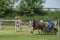 042D303 - MARATHON -ATTELAGE LOUVRES - MARATHON - 28052017-ATE 2196 : 2017, 28 mAI 2017, Concours ATTELAGE 2017, D303, MARATHON, Obstacle 4