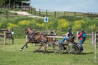 043D303 - MARATHON -ATTELAGE LOUVRES - MARATHON - 28052017-ATE 2197 : 2017, 28 mAI 2017, Concours ATTELAGE 2017, D303, MARATHON, Obstacle 4