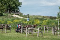 044D303 - MARATHON -ATTELAGE LOUVRES - MARATHON - 28052017-ATE 2198 : 2017, 28 mAI 2017, Concours ATTELAGE 2017, D303, MARATHON, Obstacle 4