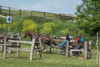 049D303 - MARATHON -ATTELAGE LOUVRES - MARATHON - 28052017-ATE 2203 : 2017, 28 mAI 2017, Concours ATTELAGE 2017, D303, MARATHON, Obstacle 4