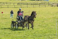 007 D401-ATTELAGE LOUVRES - MARATHON - 28052017-ATE 1588 : 2017, 28 mAI 2017, Concours ATTELAGE 2017, D401, MARATHON, Obstacle 1