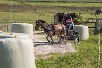 014 D401-ATTELAGE LOUVRES - MARATHON - 28052017-ATE 1644 : 2017, 28 mAI 2017, Concours ATTELAGE 2017, D401, MARATHON, Obstacle 3