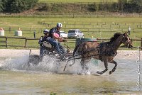 016 D401-ATTELAGE LOUVRES - MARATHON - 28052017-ATE 1661 : 2017, 28 mAI 2017, Concours ATTELAGE 2017, D401, MARATHON, Obstacle 3