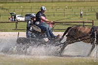 017 D401-ATTELAGE LOUVRES - MARATHON - 28052017-ATE 1662 : 2017, 28 mAI 2017, Concours ATTELAGE 2017, D401, MARATHON, Obstacle 3