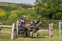 023 D401-ATTELAGE LOUVRES - MARATHON - 28052017-ATE 1693 : 2017, 28 mAI 2017, Concours ATTELAGE 2017, D401, MARATHON, Obstacle 4