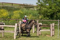 024 D401-ATTELAGE LOUVRES - MARATHON - 28052017-ATE 1692 : 2017, 28 mAI 2017, Concours ATTELAGE 2017, D401, MARATHON, Obstacle 4