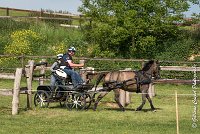 025 D401-ATTELAGE LOUVRES - MARATHON - 28052017-ATE 1694 : 2017, 28 mAI 2017, Concours ATTELAGE 2017, D401, MARATHON, Obstacle 4