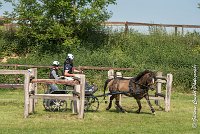 026 D401-ATTELAGE LOUVRES - MARATHON - 28052017-ATE 1695 : 2017, 28 mAI 2017, Concours ATTELAGE 2017, D401, MARATHON, Obstacle 4