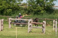 028 D401-ATTELAGE LOUVRES - MARATHON - 28052017-ATE 1700 : 2017, 28 mAI 2017, Concours ATTELAGE 2017, D401, MARATHON, Obstacle 4