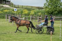 001 D402- MARATHON -ATTELAGE LOUVRES - MARATHON - 28052017-ATE 2453 : 2017, 28 mAI 2017, Concours ATTELAGE 2017, D402, MARATHON