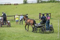 002 D402- MARATHON -ATTELAGE LOUVRES - MARATHON - 28052017-ATE 2454 : 2017, 28 mAI 2017, Concours ATTELAGE 2017, D402, MARATHON