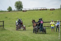 003 D402- MARATHON -ATTELAGE LOUVRES - MARATHON - 28052017-ATE 2455 : 2017, 28 mAI 2017, Concours ATTELAGE 2017, D402, MARATHON