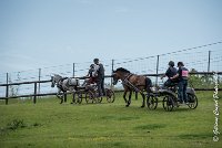 004 D402- MARATHON -ATTELAGE LOUVRES - MARATHON - 28052017-ATE 2457 : 2017, 28 mAI 2017, Concours ATTELAGE 2017, D402, MARATHON