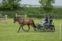 005 D402- MARATHON -ATTELAGE LOUVRES - MARATHON - 28052017-ATE 2502 : 2017, 28 mAI 2017, Concours ATTELAGE 2017, D402, MARATHON