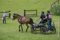 006 D402- MARATHON -ATTELAGE LOUVRES - MARATHON - 28052017-ATE 2504 : 2017, 28 mAI 2017, Concours ATTELAGE 2017, D402, MARATHON