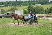 008 D402- MARATHON -ATTELAGE LOUVRES - MARATHON - 28052017-ATE 2511 : 2017, 28 mAI 2017, Concours ATTELAGE 2017, D402, MARATHON, Obstacle 3