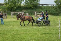 009 D402- MARATHON -ATTELAGE LOUVRES - MARATHON - 28052017-ATE 2512 : 2017, 28 mAI 2017, Concours ATTELAGE 2017, D402, MARATHON, Obstacle 3