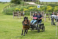 010 D402- MARATHON -ATTELAGE LOUVRES - MARATHON - 28052017-ATE 2513 : 2017, 28 mAI 2017, Concours ATTELAGE 2017, D402, MARATHON, Obstacle 3