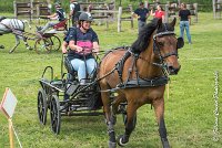 011 D402- MARATHON -ATTELAGE LOUVRES - MARATHON - 28052017-ATE 2514 : 2017, 28 mAI 2017, Concours ATTELAGE 2017, D402, MARATHON, Obstacle 3