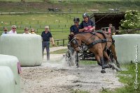 016 D402- MARATHON -ATTELAGE LOUVRES - MARATHON - 28052017-ATE 2519 : 2017, 28 mAI 2017, Concours ATTELAGE 2017, D402, MARATHON, Obstacle 3