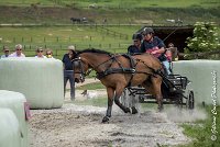 017 D402- MARATHON -ATTELAGE LOUVRES - MARATHON - 28052017-ATE 2520 : 2017, 28 mAI 2017, Concours ATTELAGE 2017, D402, MARATHON, Obstacle 3