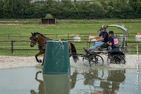 019 D402- MARATHON -ATTELAGE LOUVRES - MARATHON - 28052017-ATE 2522 : 2017, 28 mAI 2017, Concours ATTELAGE 2017, D402, MARATHON, Obstacle 3