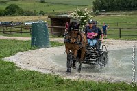 022 D402- MARATHON -ATTELAGE LOUVRES - MARATHON - 28052017-ATE 2525 : 2017, 28 mAI 2017, Concours ATTELAGE 2017, D402, MARATHON, Obstacle 3