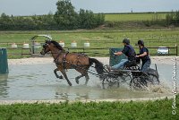 027 D402- MARATHON -ATTELAGE LOUVRES - MARATHON - 28052017-ATE 2530 : 2017, 28 mAI 2017, Concours ATTELAGE 2017, D402, MARATHON, Obstacle 3