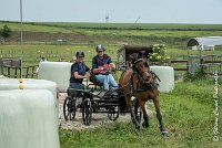 031 D402- MARATHON -ATTELAGE LOUVRES - MARATHON - 28052017-ATE 2534 : 2017, 28 mAI 2017, Concours ATTELAGE 2017, D402, MARATHON, Obstacle 3