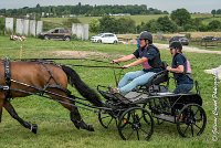 033 D402- MARATHON -ATTELAGE LOUVRES - MARATHON - 28052017-ATE 2536 : 2017, 28 mAI 2017, Concours ATTELAGE 2017, D402, MARATHON, Obstacle 3